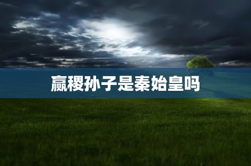 赢稷孙子是秦始皇吗