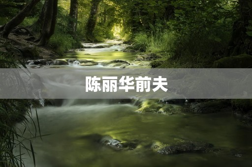 陈丽华前夫