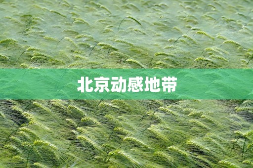 北京动感地带