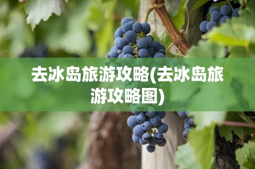 去冰岛旅游攻略(去冰岛旅游攻略图)