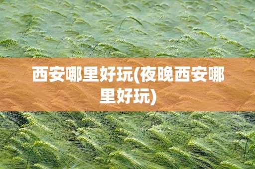 西安哪里好玩(夜晚西安哪里好玩)