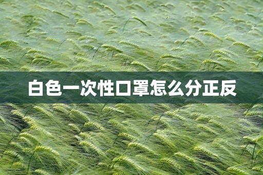 白色一次性口罩怎么分正反