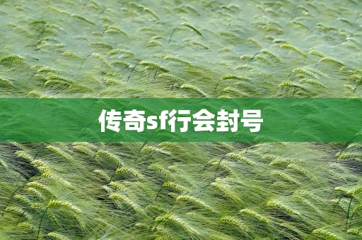 传奇sf行会封号