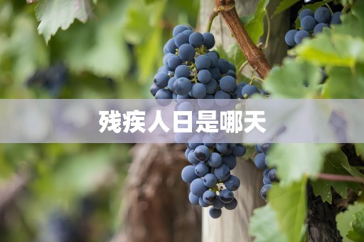 残疾人日是哪天