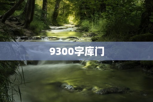 9300字库门