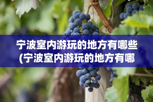 宁波室内游玩的地方有哪些(宁波室内游玩的地方有哪些景点)