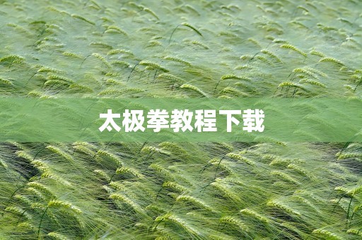 太极拳教程下载
