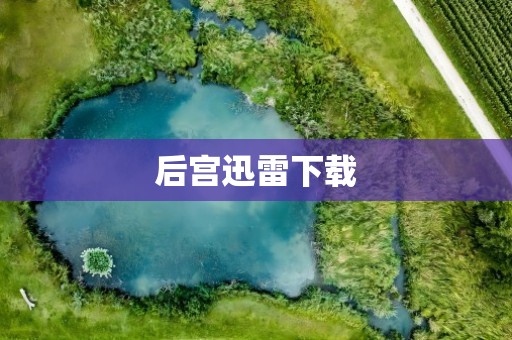 后宫迅雷下载