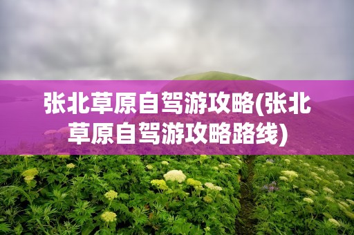 张北草原自驾游攻略(张北草原自驾游攻略路线)