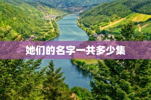 她们的名字一共多少集