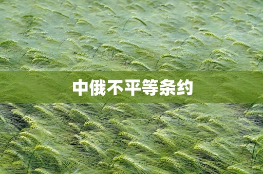 中俄不平等条约