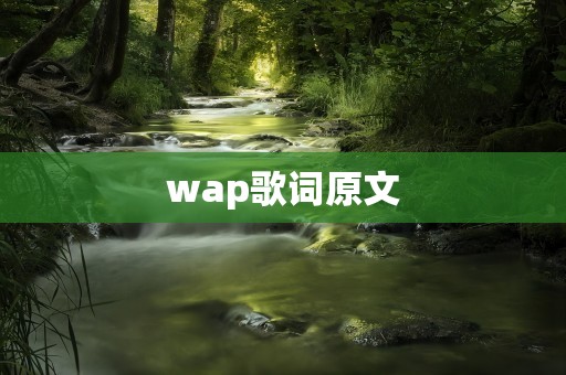wap歌词原文