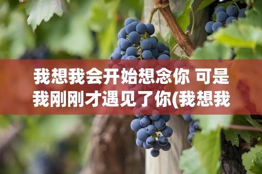 我想我会开始想念你 可是我刚刚才遇见了你(我想我会开始想念你可是我刚刚才遇见了你)