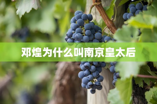 邓煌为什么叫南京皇太后