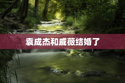 袁成杰和戚薇结婚了