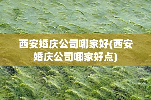 西安婚庆公司哪家好(西安婚庆公司哪家好点)