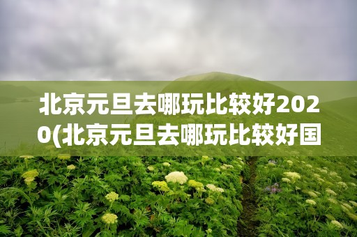 北京元旦去哪玩比较好2020(北京元旦去哪玩比较好国内)
