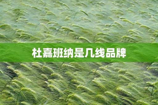 杜嘉班纳是几线品牌