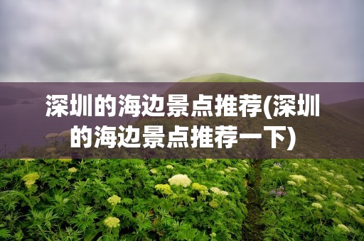 深圳的海边景点推荐(深圳的海边景点推荐一下)