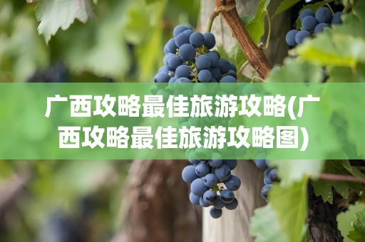 广西攻略最佳旅游攻略(广西攻略最佳旅游攻略图)