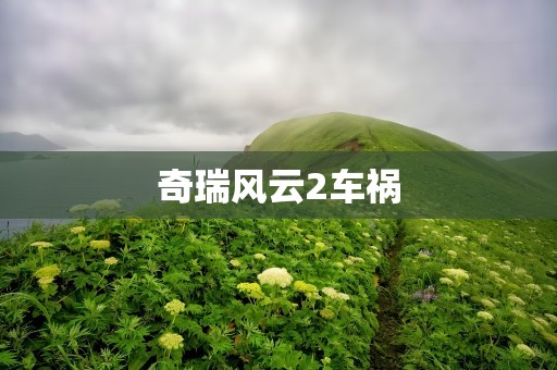 奇瑞风云2车祸
