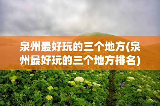 泉州最好玩的三个地方(泉州最好玩的三个地方排名)