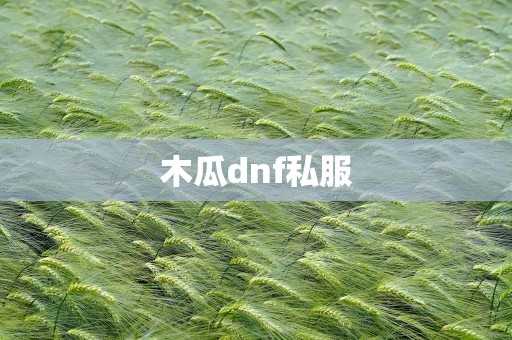 木瓜dnf私服