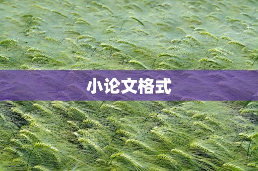 小论文格式