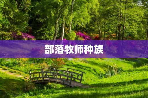 部落牧师种族