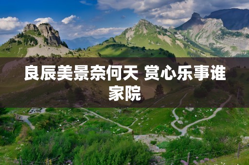 良辰美景奈何天 赏心乐事谁家院