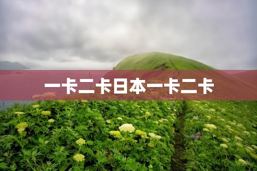 一卡二卡日本一卡二卡