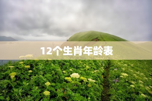 12个生肖年龄表