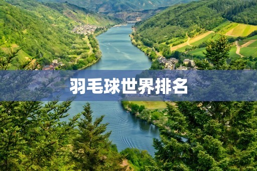 羽毛球世界排名