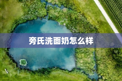 旁氏洗面奶怎么样