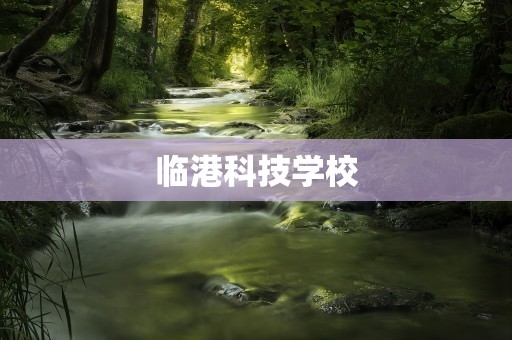 临港科技学校