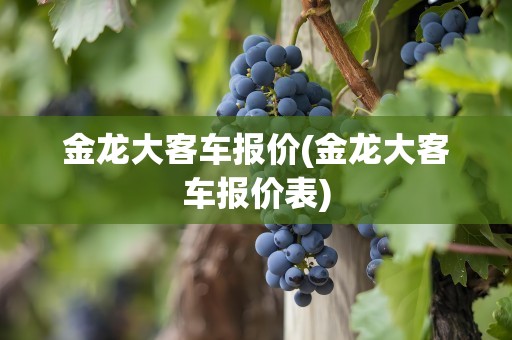 金龙大客车报价(金龙大客车报价表)