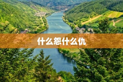 什么怨什么仇