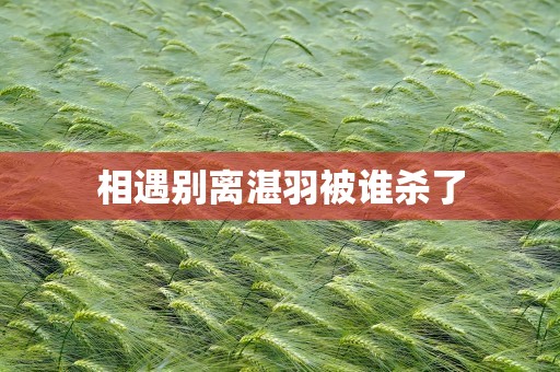 相遇别离湛羽被谁杀了