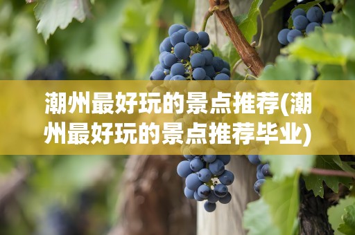 潮州最好玩的景点推荐(潮州最好玩的景点推荐毕业)