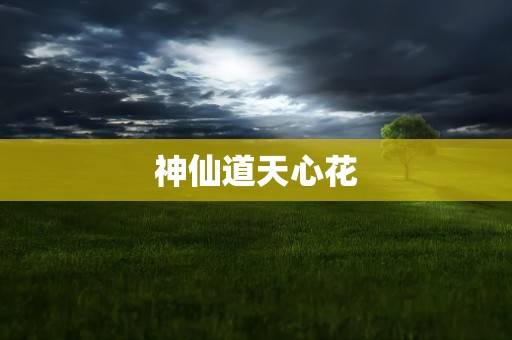神仙道天心花