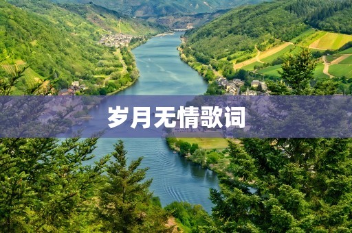 岁月无情歌词