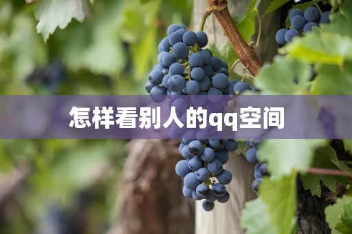 怎样看别人的qq空间