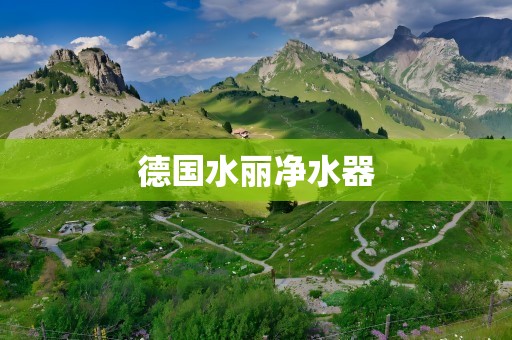 德国水丽净水器