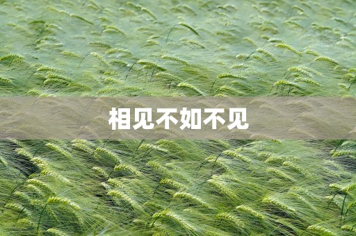 相见不如不见