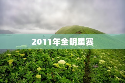 2011年全明星赛