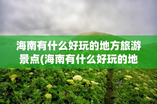 海南有什么好玩的地方旅游景点(海南有什么好玩的地方旅游景点推荐)