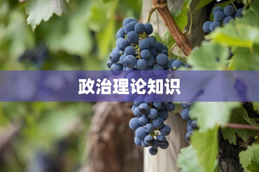 政治理论知识