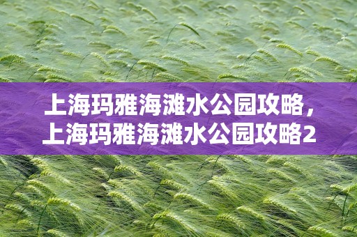 上海玛雅海滩水公园攻略，上海玛雅海滩水公园攻略2020