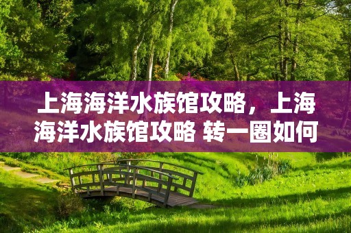 上海海洋水族馆攻略，上海海洋水族馆攻略 转一圈如何再回去