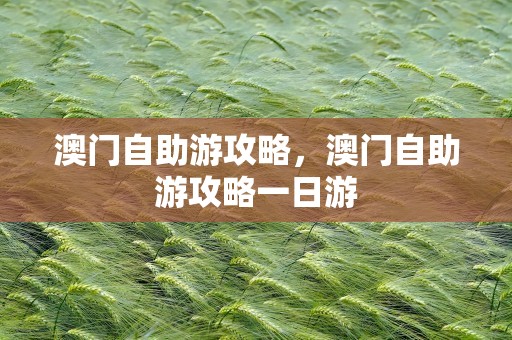 澳门自助游攻略，澳门自助游攻略一日游
